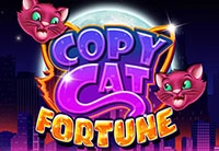 Apollo Slots Casino