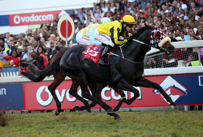 SA Casino Horse Race