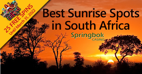 Springbok Casino Christmas - IC Wins
