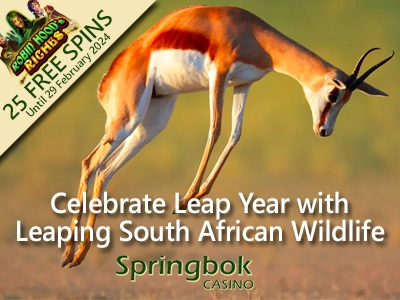 Springbok Casino