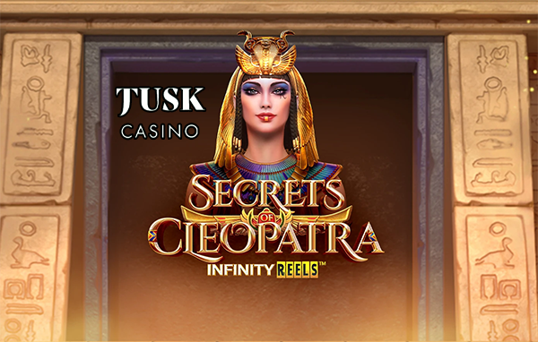 tusk casino winer