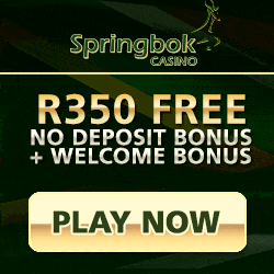 Springbok Springbok