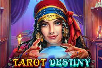 Springbok Casino Christmas - IC Wins