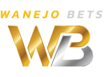 WanejoBets Casino